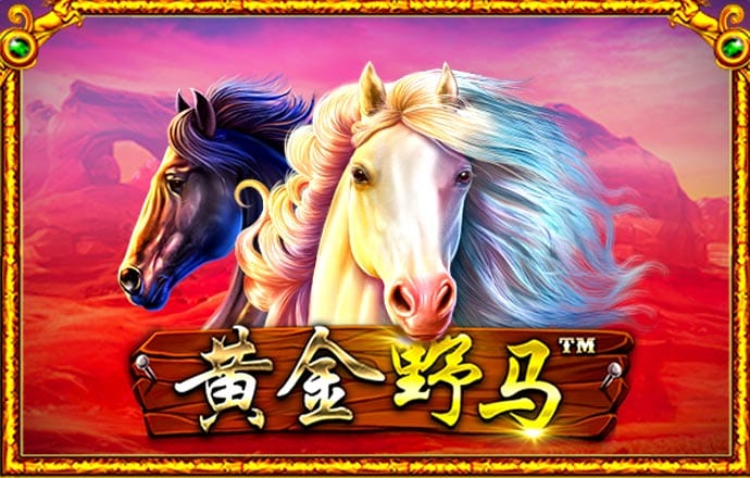 盈嘉体育官网下载手机版