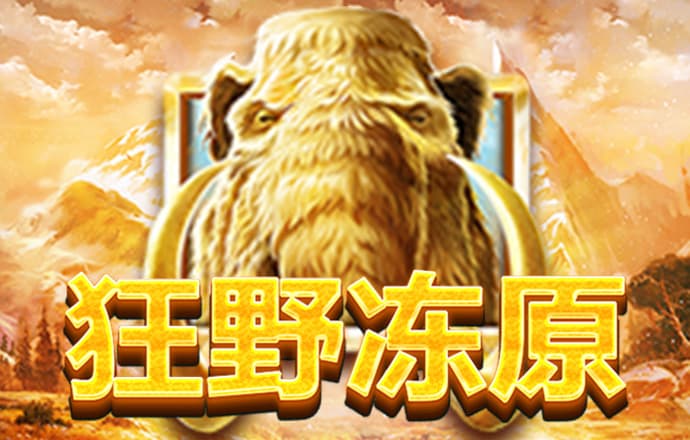 6t平台骗局