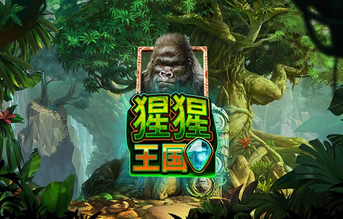 bobty体育平台官网